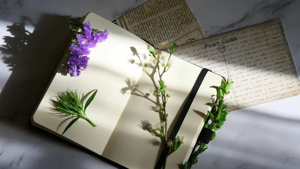 nourish-yourself-by-journaling
